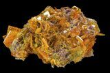 Orange Wulfenite Crystal Cluster - Rowley Mine, Arizona #118951-1